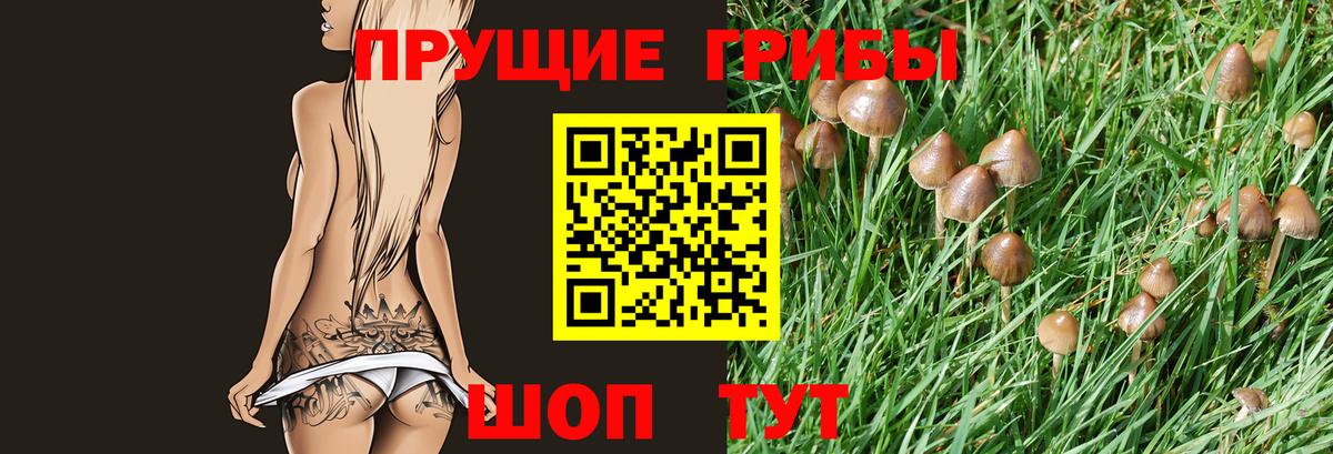 Димитровград  Псилоцибиновые грибы мухоморы  Вход с VPN 
