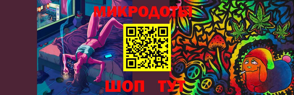 Псилоцибиновые грибы Psilocybe Димитровград